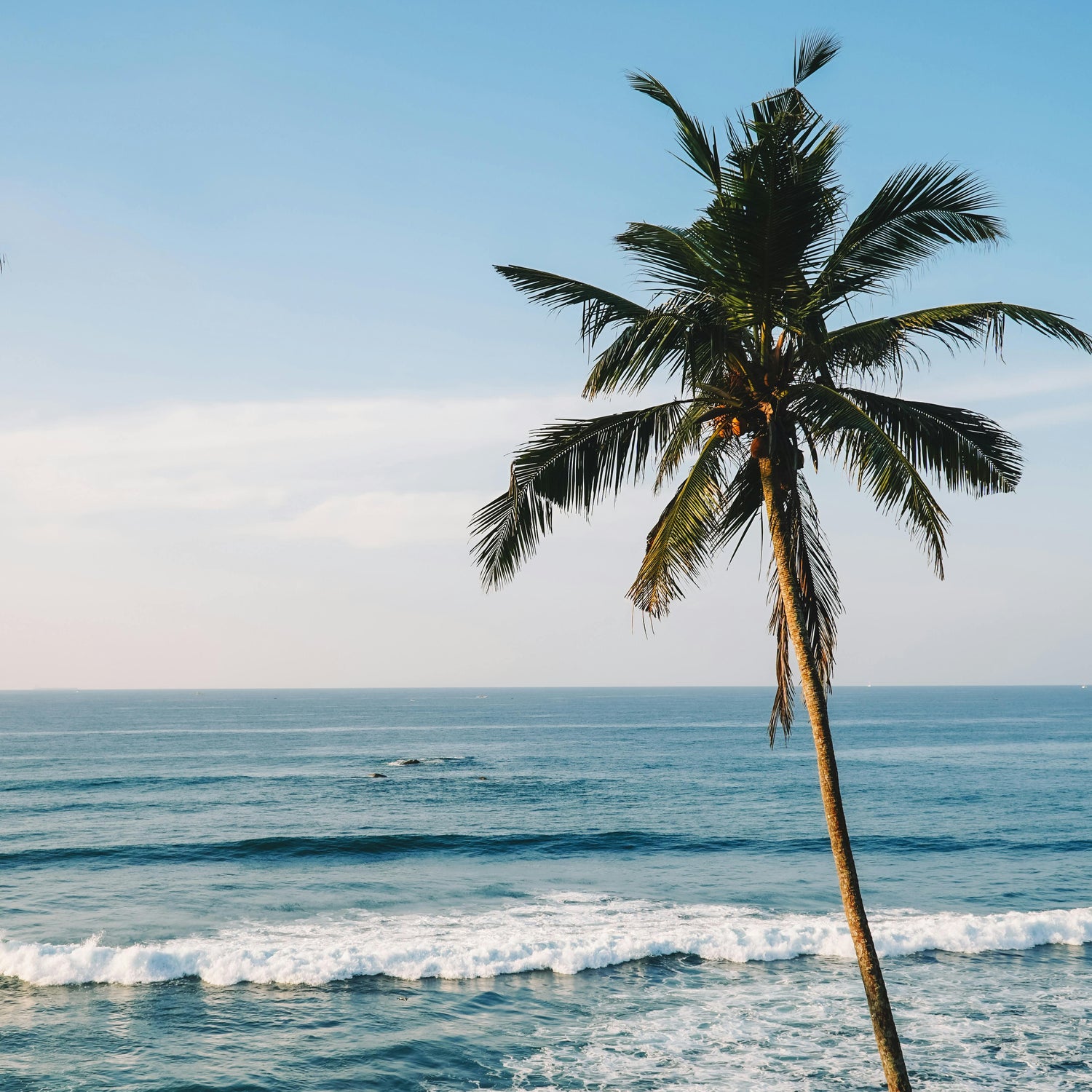 Mirissa Sri Lanka