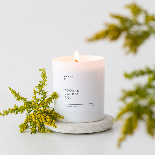 Lit HANOI candle on a ceramic coaster surrounded by yellow and green bush-like flowers